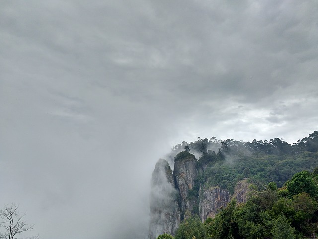 kodaikanal-2704177_640.jpg