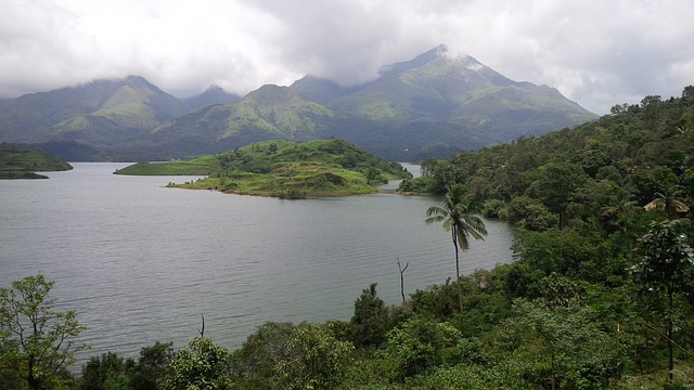 wayanad-3590626_640.jpg